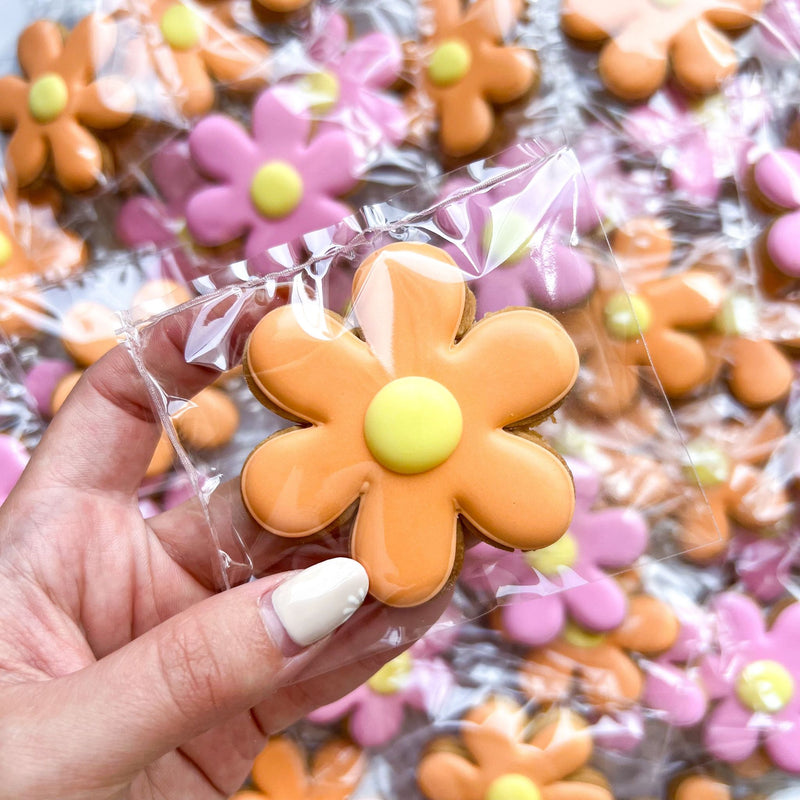 Mini Daisy Iced Biscuit Bundles
