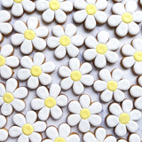 hand iced daisy biscuits flower biscuits